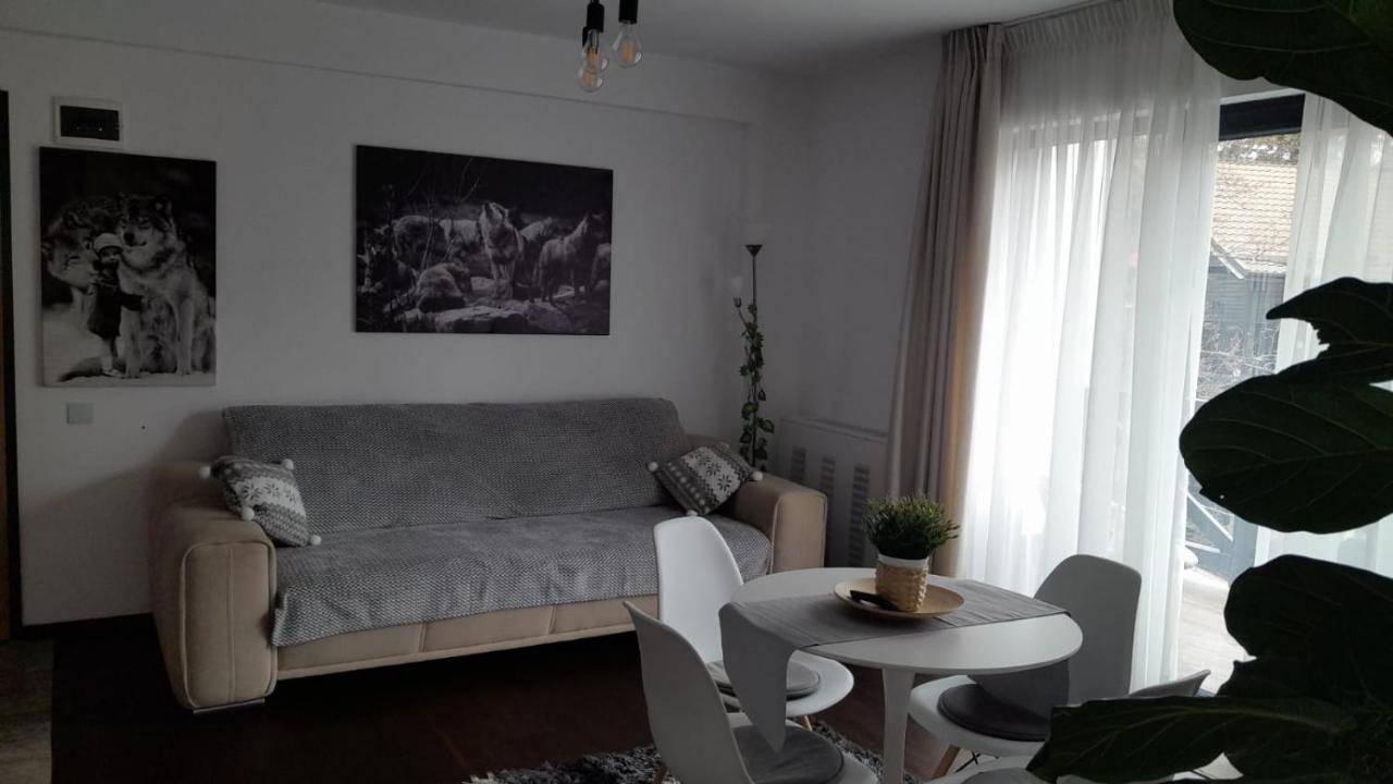 Casa Larisa - Wolves Apartment 시나이아 외부 사진
